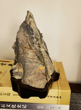 灵璧石精品灵壁石磬石莲花磬石原石纹石案头小品石小山形奇石摆件