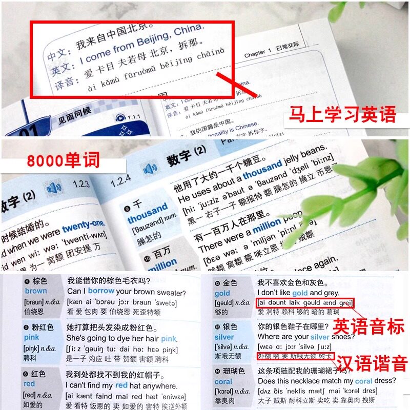 全2册 英语口语马上说+马上说8000英语单词口袋书 英语入门自学零基础自学教材 口语发音教材英语中文谐音英文单词大全