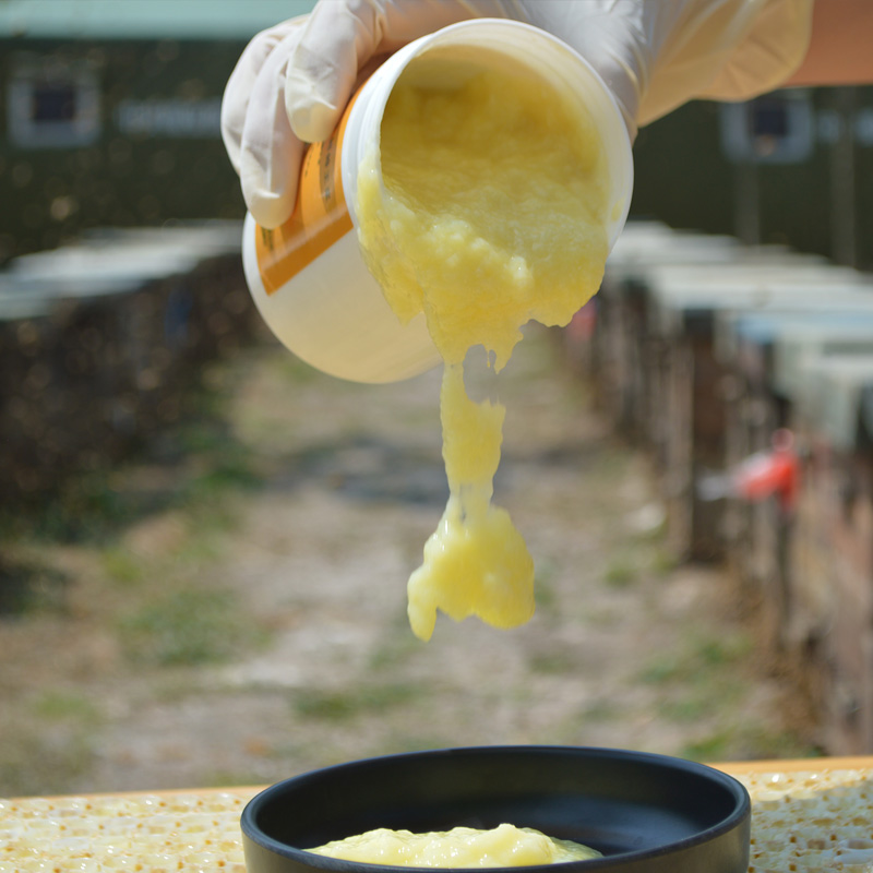 蜂农自产油菜蜂王浆野生天然纯正春浆新鲜蜂皇浆500g旗舰店正品-图1