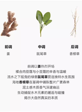 三宅一生一生之水香根草EDT男香