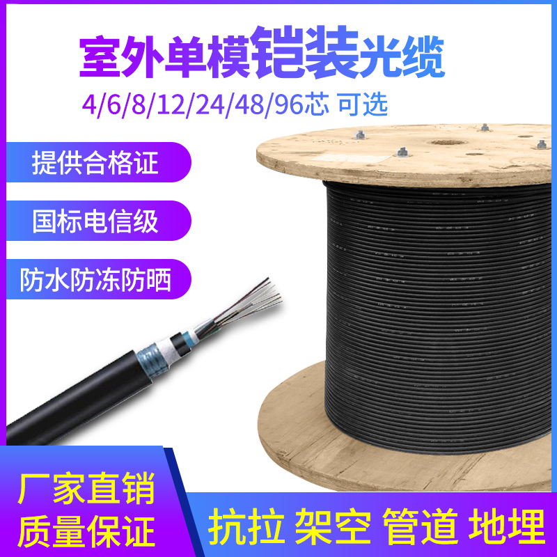 辉宏时代GYXTW/GYTA室外单模铠装阻燃光缆4芯6芯8芯12芯24芯48芯96芯中心束管架空穿管万兆光纤线国标电信级 - 图3