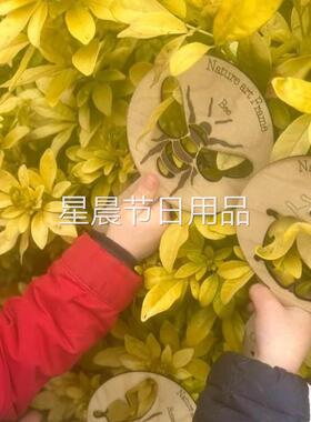 Nature art frames 儿童户外昆虫自然艺术木质框架玩具