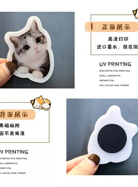 亚克力冰箱贴定制宠物猫咪小狗照片磁吸来图diy定做3d立体高级感