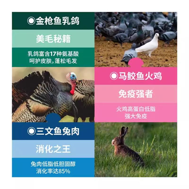 蓝氏主食餐包全价主食蒸鲜包湿粮成幼猫零食猫饭主食猫条猫软罐头,淘宝优惠券,粉丝福利购,淘宝优惠卷