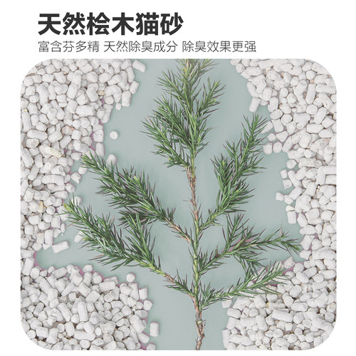 爱丽思清新消臭绿茶松木猫砂低粉尘大颗粒猫砂去味消臭猫砂5L包邮 - 图0