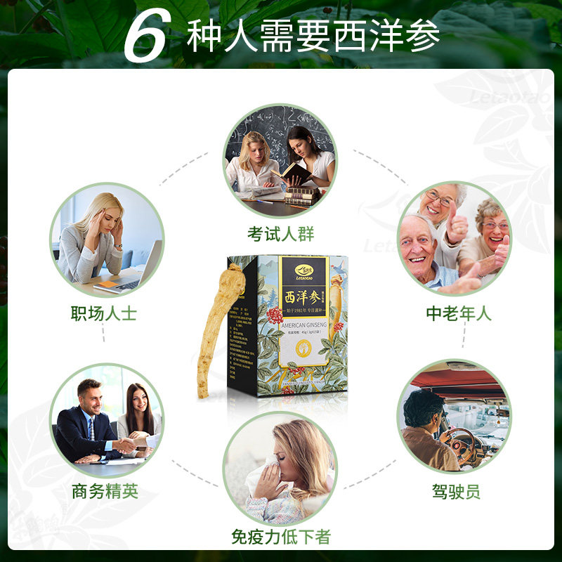 乐陶陶正宗特级长白山切片人参茶 乐陶陶食品西洋参