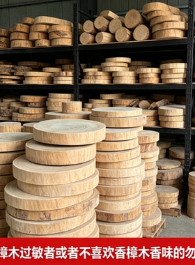 香樟木树桩年轮片展示拍照道具
