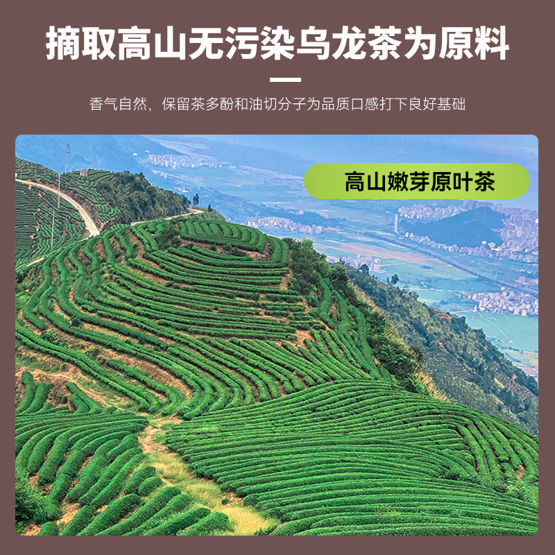 黑乌龙茶茶包碳培黑乌龙茶叶浓香型高山乌龙木炭油切独立包装袋泡 - 图3