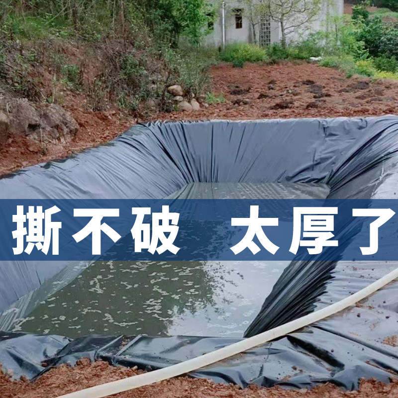 鱼塘防渗膜防水布加厚hdpe土工膜蓄水池鱼池防水膜专用黑色塑料膜,淘宝优惠券,粉丝福利购,淘宝优惠卷