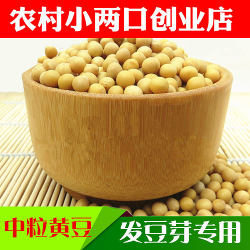 非转基因黄豆发豆芽专用黄豆打豆浆芽豆芽苗菜中小粒做纳豆 5斤装 - 图0