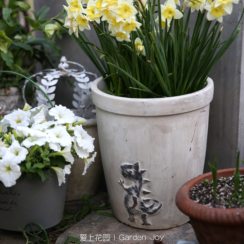 爱上花园|白陶粗制红陶盆粗陶花盆园艺卡通动物霸王龙恐龙盆花盆 - 图0