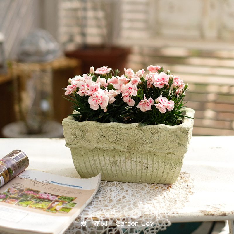 复古阳台植物盆栽做旧浅绿玫瑰手压花盆多肉绿植,淘宝优惠券,粉丝福利购,淘宝优惠卷