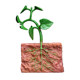 Simulated plant growth cycle toys