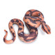 Large children's simulation animal toy fake snake model wild animal venomous snake hovering boa constrictor boy gift
