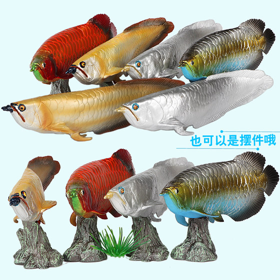 Simulated ocean model freshwater fish silver arowana red arowana