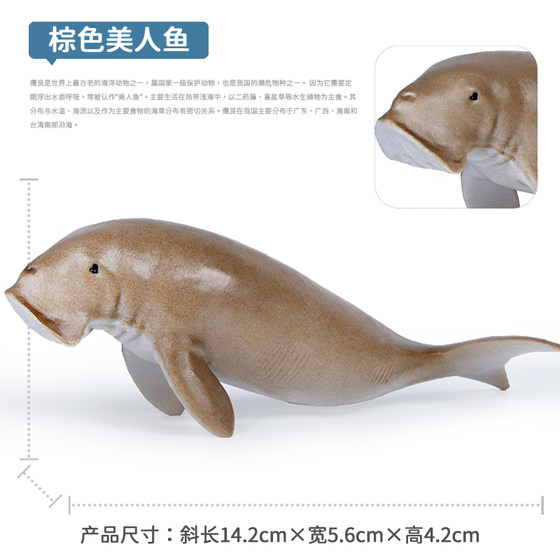Simulated South Manatee children's science and education cognitive gift animal