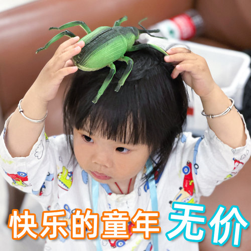 仿真昆虫模型七星瓢虫玩具蜘蛛蜻蜓蝎子西数蝗虫大号儿童科教礼物 - 图0