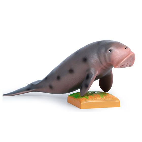 Simulated South Manatee children's science and education cognitive gift animal