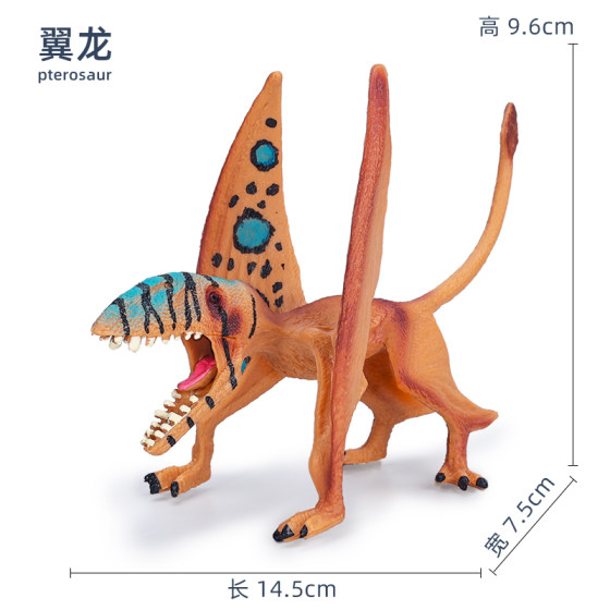 Jurassic dinosaur model pterosaur toy bat dragon Dimorphodon pterosaur children's science and education cognitive gift ornaments