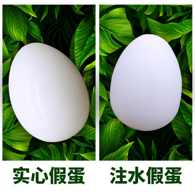 Pigeon Terrier Pigeon False Pigeon Egg Simulation Fake Egg Pigeon Supplies Water Real Plastic Plastic Pigeon Egg Wholesale