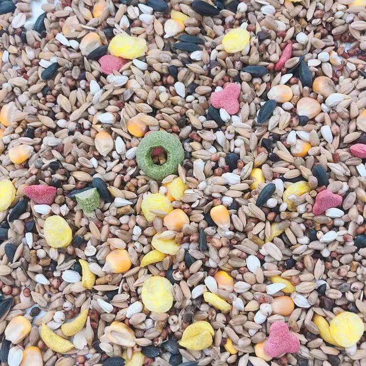 仓鼠粮食五谷粮谷物营养粮宠物鼠饲料金丝熊主粮全部鼠类通用150g,淘宝优惠券,粉丝福利购,淘宝优惠卷