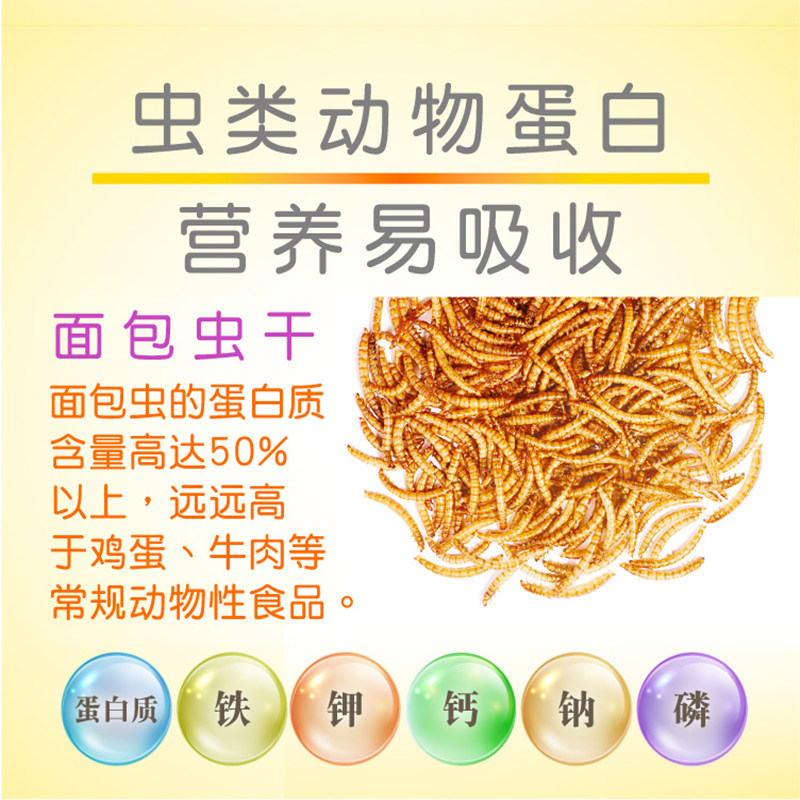 Jolly祖莉面包虫干仓鼠布丁金丝熊零食仓鼠零食葵瓜子小鱼干,淘宝优惠券,粉丝福利购,淘宝优惠卷