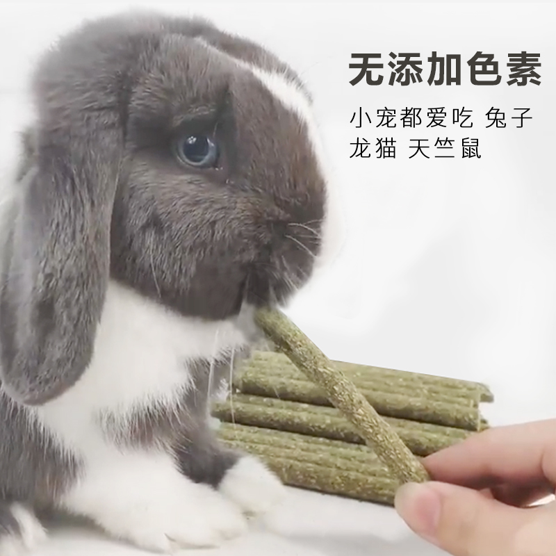 提摩西草 苜蓿草 果树草 黑麦草 磨牙草棒兔子龙猫豚鼠零食草条 - 图0