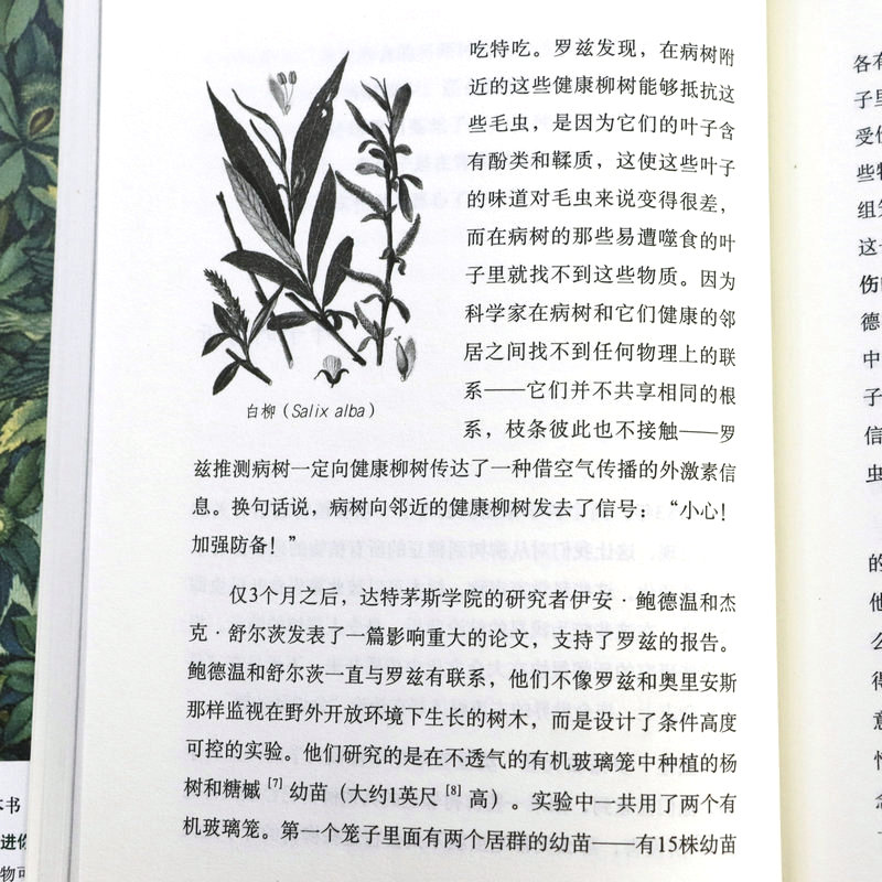 【现货速发】植物知道生命的答案(精装修订珍藏版) 董卿撰文全新增补植物味觉系统完整解读植物之谜自然科普读物自然科学正版书籍 - 图3