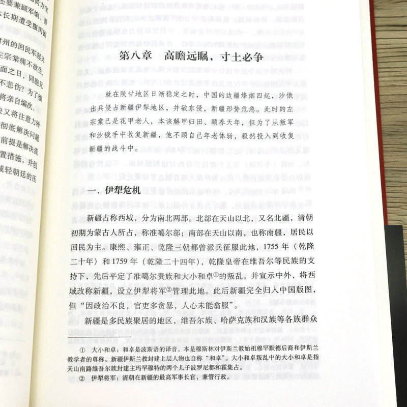 晚清铁相:左宗棠 左宗棠全传晚清名臣晚清铁相左宗棠传全集历史人物传记清朝历史书籍 - 图2