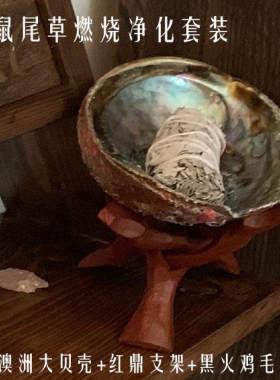 白鼠尾草净化欧美禅修冥想打坐