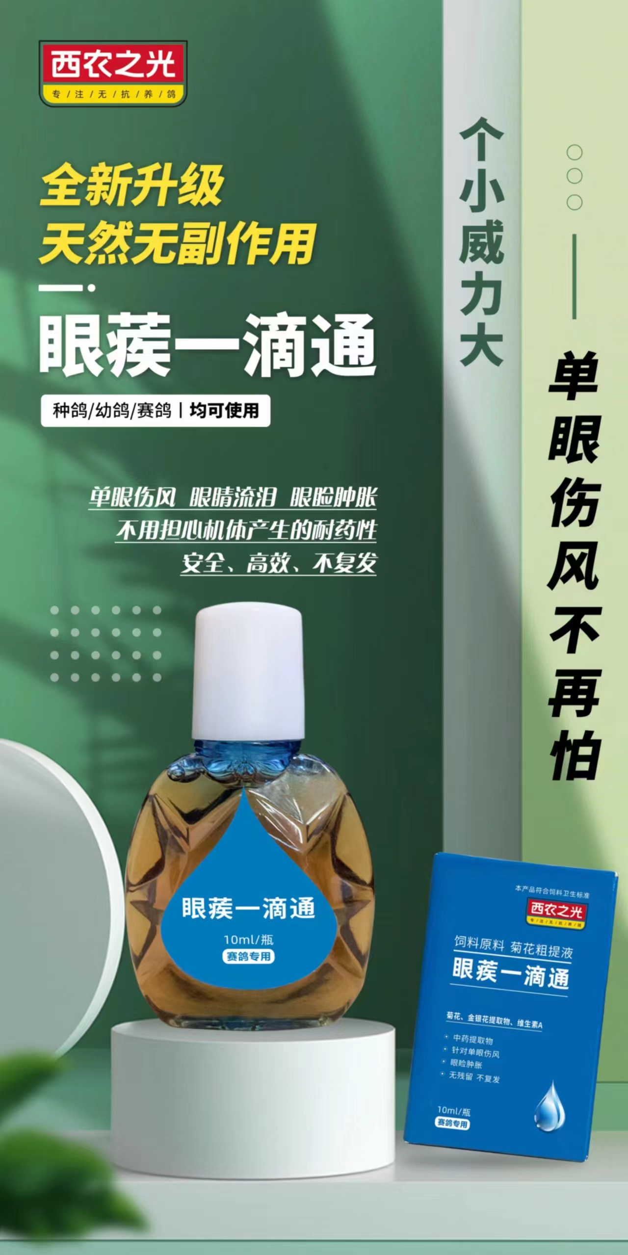 西农之光鸽药眼疾一滴通10ml鹦鹉赛信鸽子药眼睛流泪单眼伤风衣原 - 图1