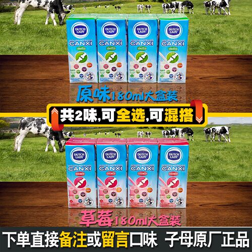 哒露奇越南dutchlady子母奶180毫升12盒草莓甜牛奶进口儿童钙原味 - 图0