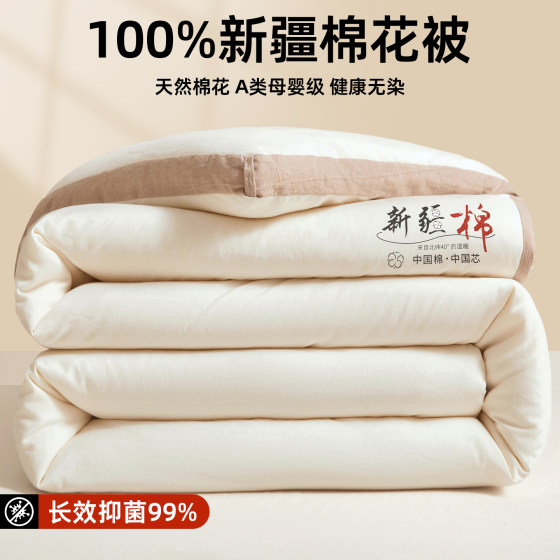 Xinjiang cotton quilt core autumn and winter quilt thickened to keep warm