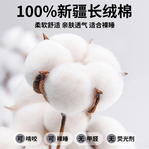 纯棉床笠单件100全棉学生宿舍床笠单人加厚床罩床垫套90x190cm - 图0