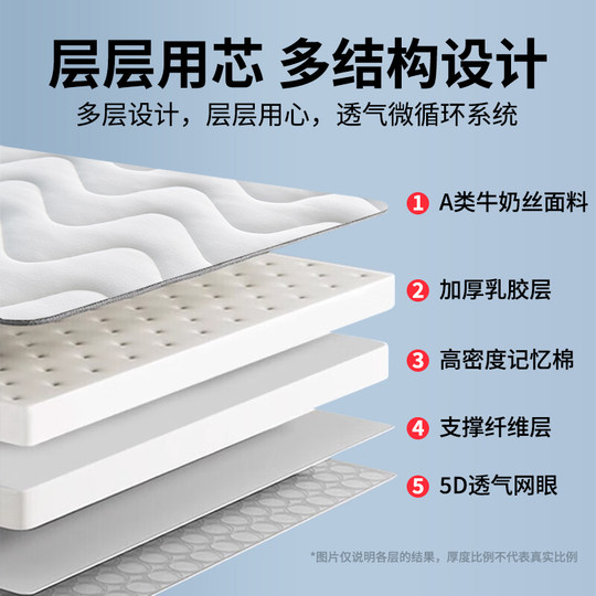 Home latex mattress cushion
