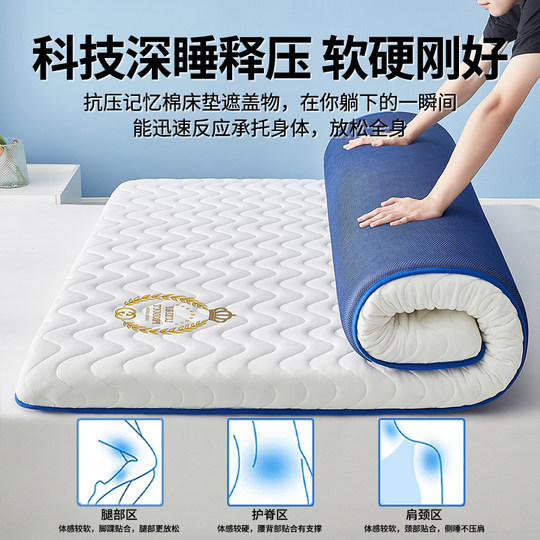 Home latex mattress cushion