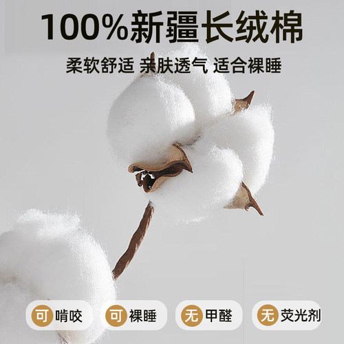 纯棉全棉床笠单件床罩全包床单席梦思床垫床套防尘保护罩2025新款 - 图0