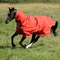 BUCAS FREEDOM TURNOT FULL NECK LIGHT horse clothing number :B673