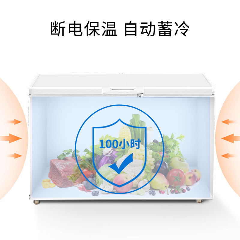 澳柯玛冰柜卧式单温冷藏保鲜冷柜 澳柯玛盛逸冷柜