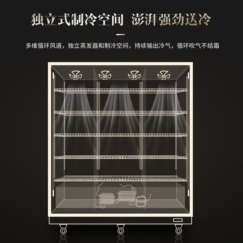 澳柯玛立式风冷展示柜便利店冷柜 澳柯玛盛逸展示柜