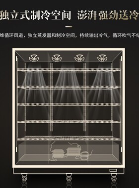 澳柯玛立式饮料商用冰箱啤酒柜