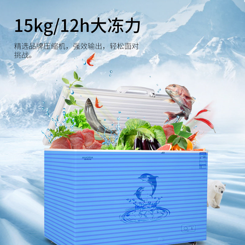 澳柯玛372升大商用大容量大冰箱 澳柯玛盛逸冷柜