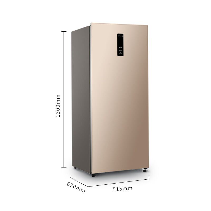 澳柯玛bd-151wne立式风冷冷冻柜 澳柯玛盛逸冷柜