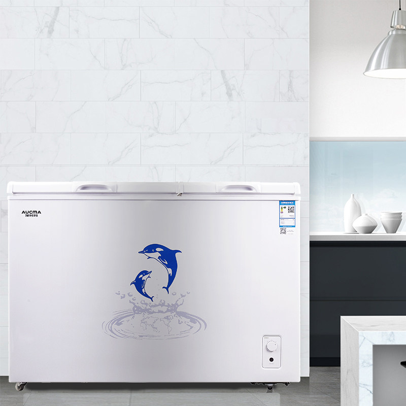 aucma /澳柯玛bcd-287chn商用冰柜 澳柯玛盛逸冷柜