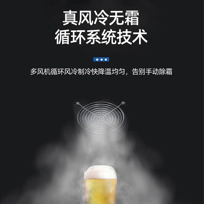 澳柯玛商用冷冻展示柜食品雪糕柜 澳柯玛盛逸展示柜