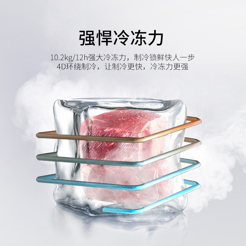 澳柯玛家用商用冷藏冷冻转换冰柜 澳柯玛盛逸冷柜