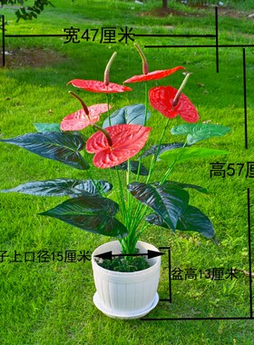 假花仿真花小盆栽套装室内装饰