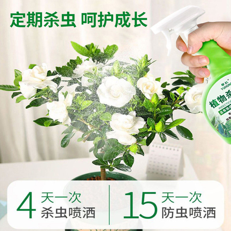 向日葵杀虫剂专用打虫药喷雾除虫葵花叶子灭虫防虫驱虫害长虫克星