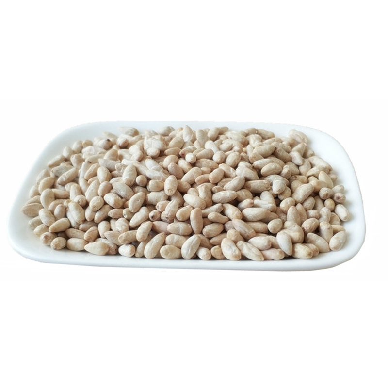 棉花籽 当季 棉籽仁 棉花子籽 去壳 棉花籽种子 棉花籽去皮心脏 - 图3