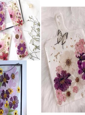 格桑花压花干花真花标本热卖爆品